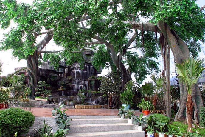 富有創(chuàng)意的仿真樹制作，栩栩如生、造型特的仿真樹