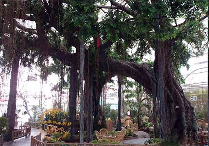 仿真榕樹制作種類和使用場合靈活性贏得市場