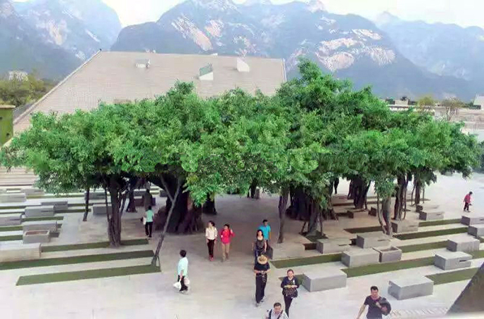 大型仿真榕樹廠家為您制作各種國際頂尖水準的高端仿真樹