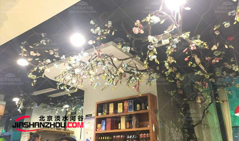 每春季能看到的孤勇優雅仿真樹玉蘭樹原產北美現世界各地基本分布