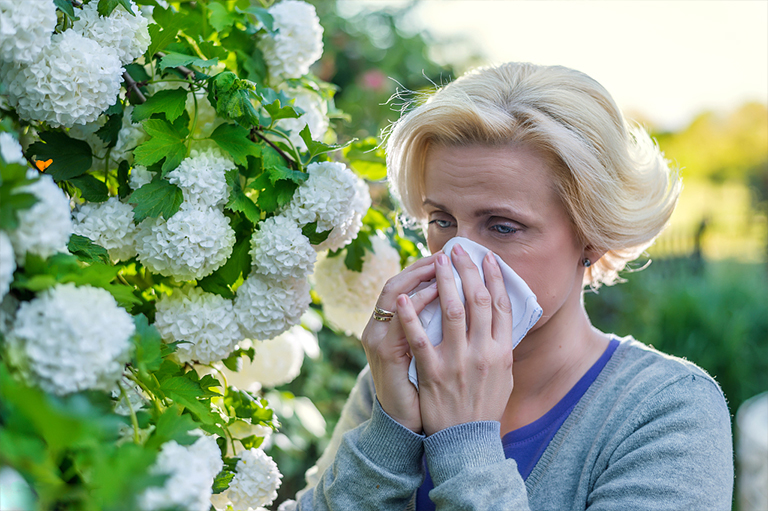 哪些類型的花粉樹引起過敏-您可以和他們一起生活的花粉生產者