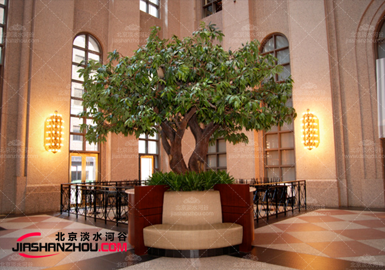 不只是外喜歡的這個(gè)廠家的楊梅樹華-仿真樹楊梅樹