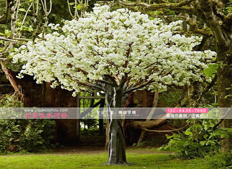 一個(gè)富有創(chuàng)造性的仿真樹角色-“布拉德福德梨“樹是從中國引進(jìn)