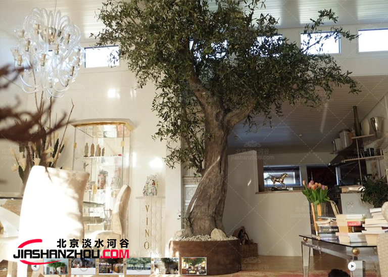 夏日清涼仿真樹室內裝扮簡約卻不簡單-你的夏日福音