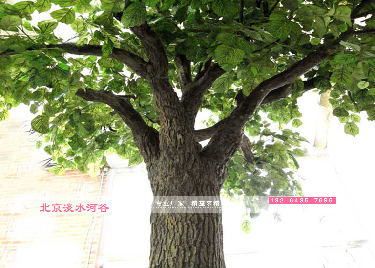 擴(kuò)大仿真樹美化業(yè)務(wù)時的10個財務(wù)錯誤