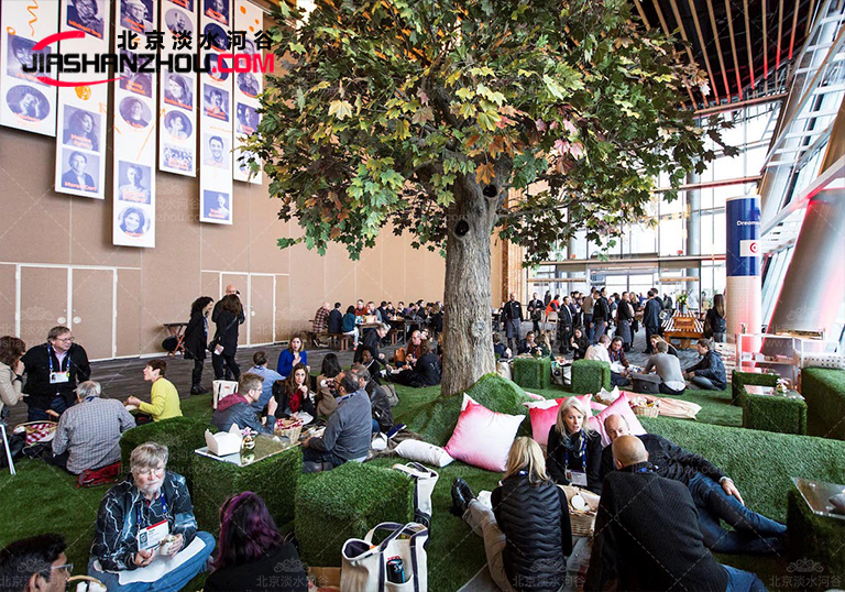 誘人芳香品質仿真樹檫樹匯聚各種優勢于一身