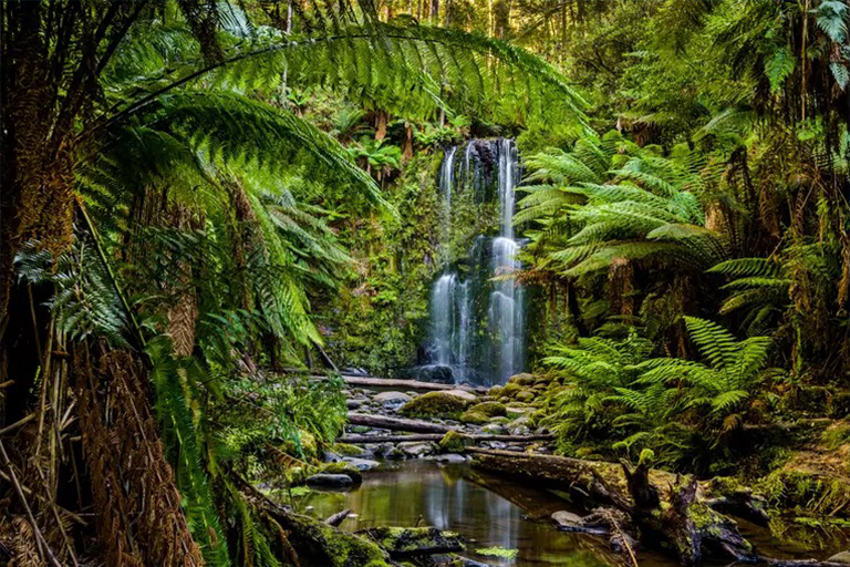 您需要了解的生物群落-世界上所有活的有機(jī)體如何相互生活