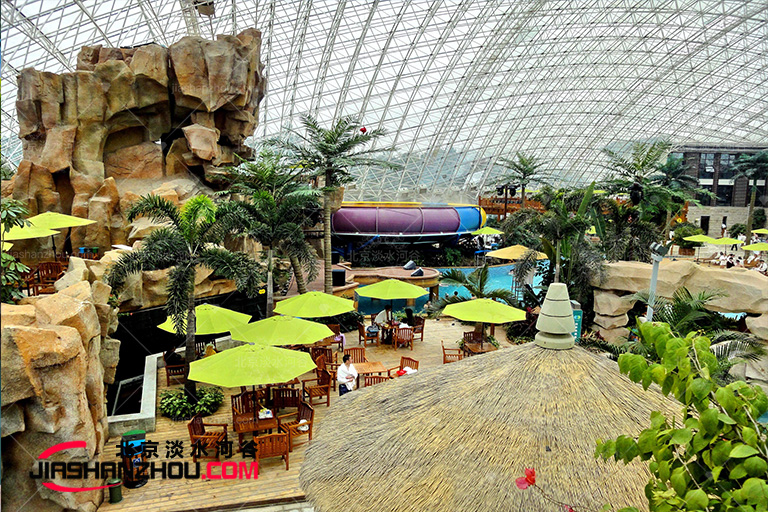 夏日f情仿真樹椰子樹給人帶來不一樣的無可比擬的熱帶體驗(yàn)