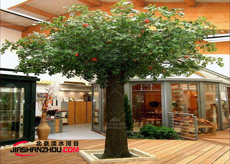 仿真樹看起來那么悠然美好讓人一點猜不到它居然是仿制的