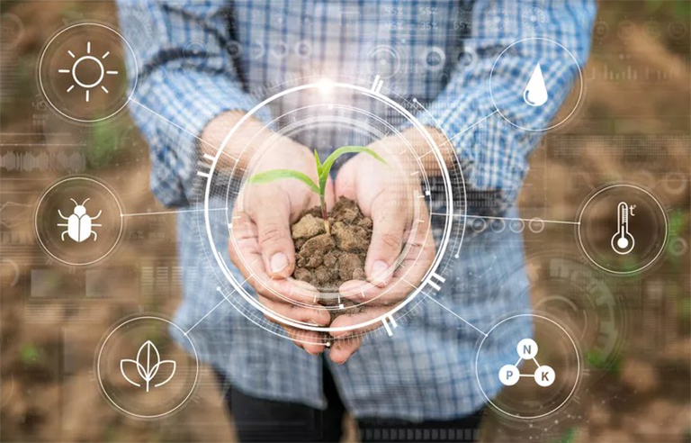 生態(tài)系統(tǒng)中的生物因素與非生物因素-組成整個(gè)生態(tài)系統(tǒng)的兩半