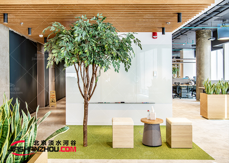 北京郊區別墅仿真樹大片布置效果超出預期