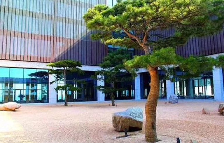 5張高仿真松樹讓您體驗匠人神