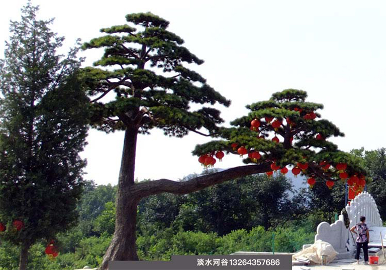 現場制作仿真松樹，工藝精美效果逼真—北京圣園工程