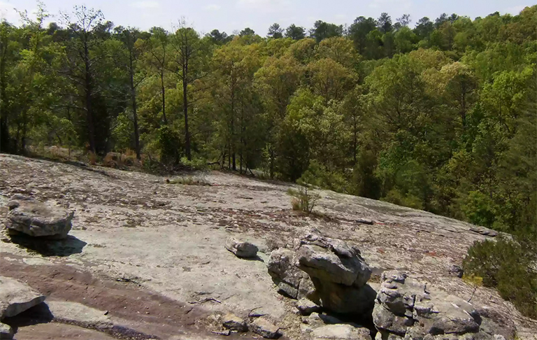 美國喬治亞州地質(zhì)景點和目的地（中）