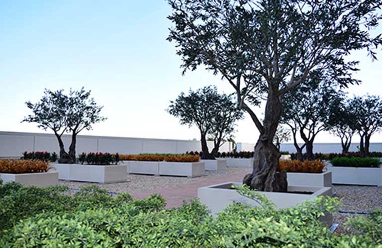 為英國伯明翰大學制作仿真樹