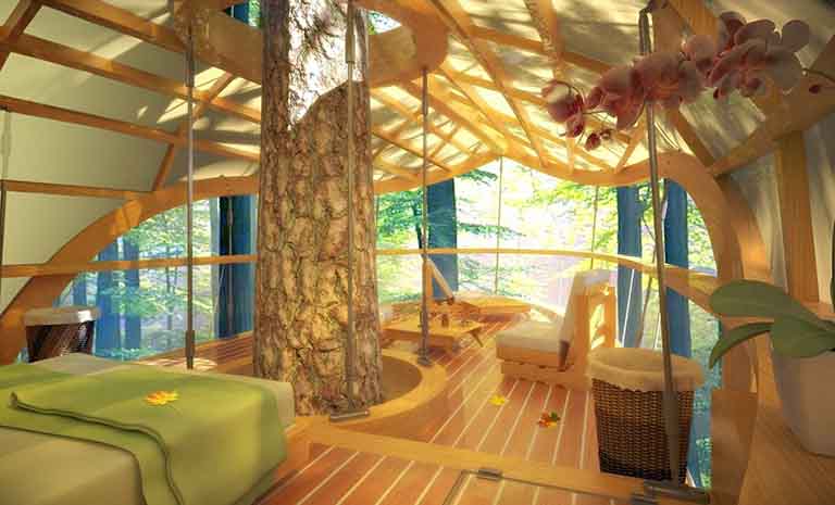 把仿真樹做好需要很多的軟硬件條件