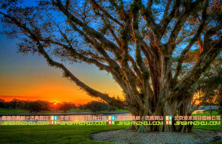仿真榕樹也可以裝飾圣誕節(jié)