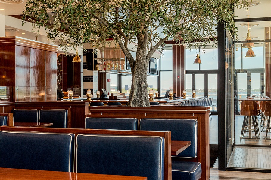 室內(nèi)仿真假樹(shù)廠家做到了國(guó)外