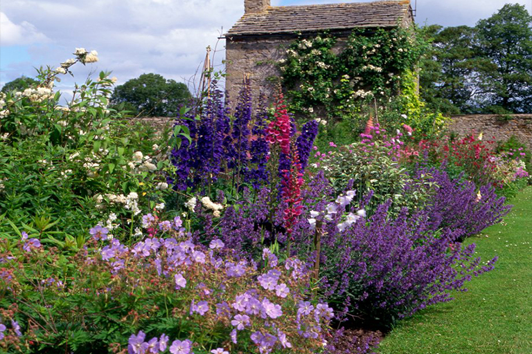 打細(xì)算經(jīng)濟型植物花園創(chuàng)意–擴大空間而又不花錢（三）