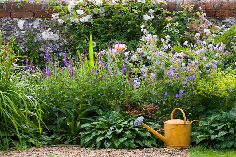 可持續植物花園–針對您的戶外空間的環保理念（下）