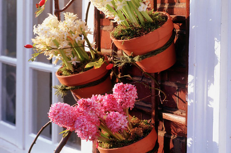 北京廠家關于植物花園柵欄／圍欄的設計構(gòu)想（中）