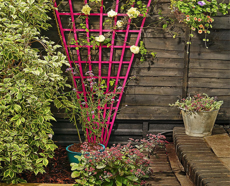 簡單的創意方法來改善植物花園可以不花一分錢哦 (下)