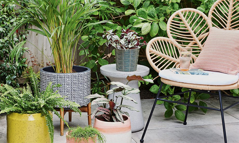 11個植物花園項目—從種植到繪畫讓植物花園重獲新生（上）