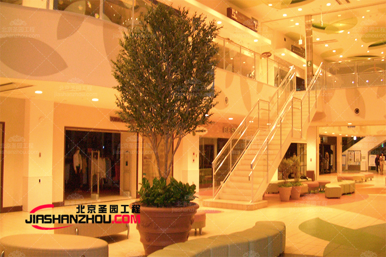 佳福建室內(nèi)盆景仿真樹以及室內(nèi)仿真棕櫚樹美圖