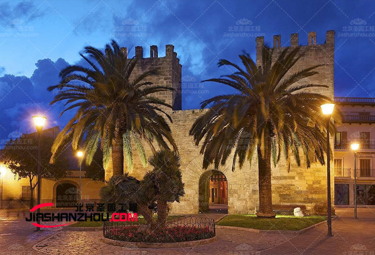 人工仿真樹(shù)大型工廠 專業(yè)承接人造仿真樹(shù)工程