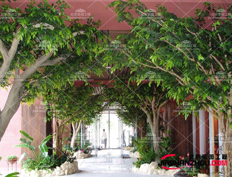 仿真樹當(dāng)你厭倦了城市的喧鬧時創(chuàng)出美景讓大家向往大自然