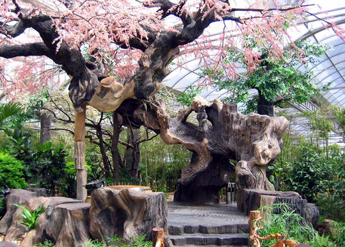 設計仿真樹的時候應該從哪些方面來考慮?