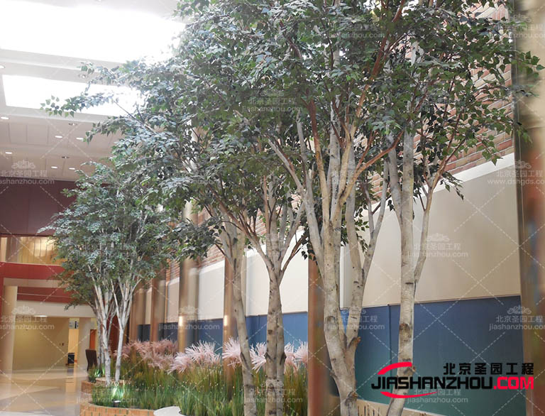 現在社會在不斷的進步，現在的仿真樹行業也在蒸蒸日上