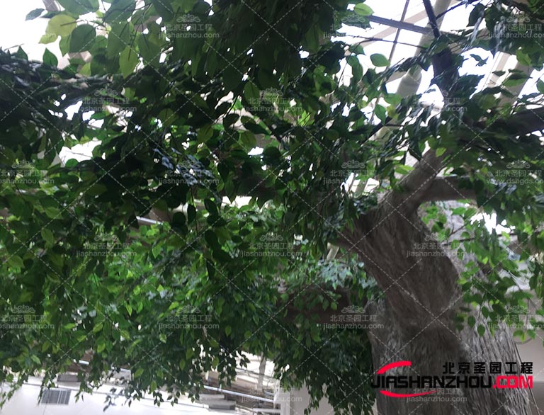 那么大家對仿真樹有什么優勢與劣勢呢這里給大家來說一下