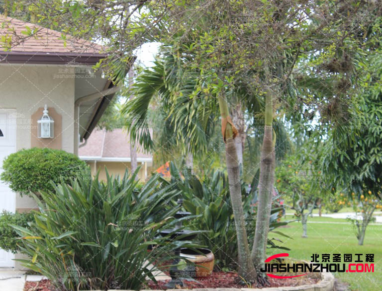 現在的室內外仿真樹的活動場地：如演唱會、展覽等活動場地