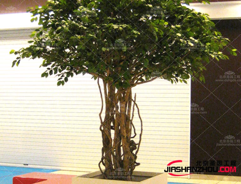 現在需要仿真樹是如此的讓城市煥發出生機適用于多樣化場景