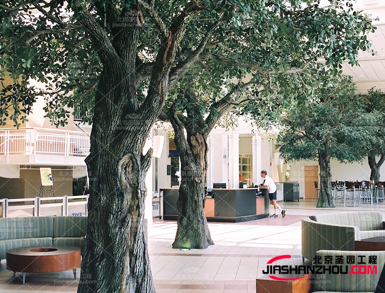 仿真樹可以選擇一些蔓延生長的植物也可以增加空間的流動感