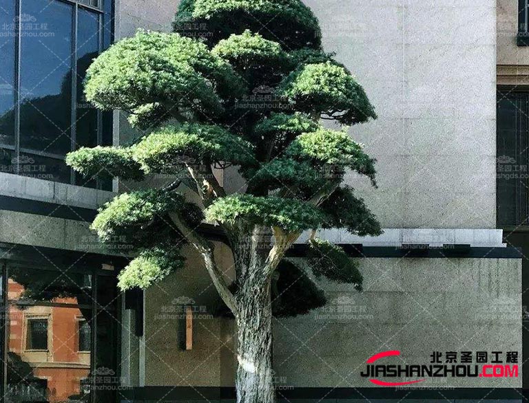 仿真樹這是訪問巴黎并了解室內設計界新趨勢的好時機