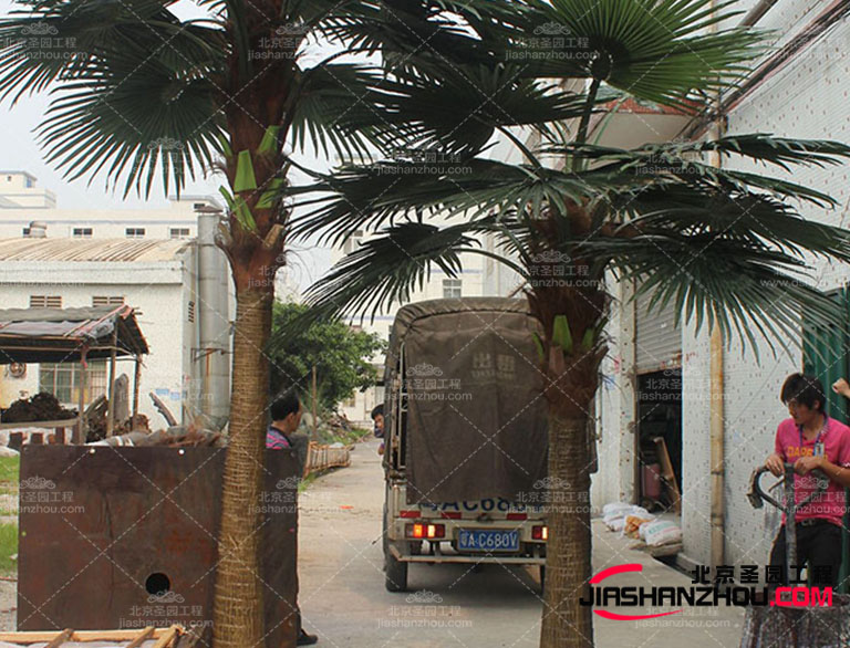 仿真樹通過與藝術家的合作仿真樹將藝術和功能性餐具完美結合