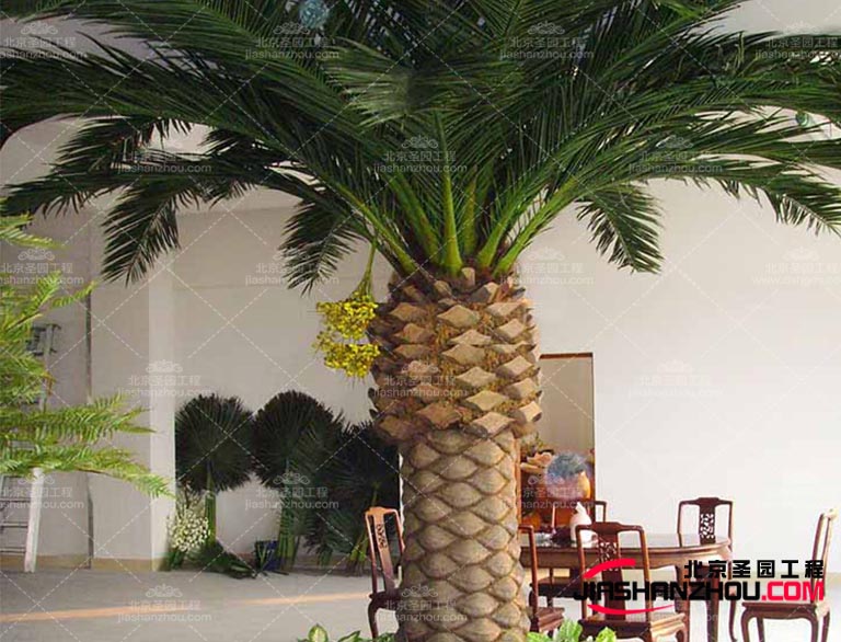 浙江仿真樹室內(nèi)外裝飾點(diǎn)綴了人們的生活 給予美的享受