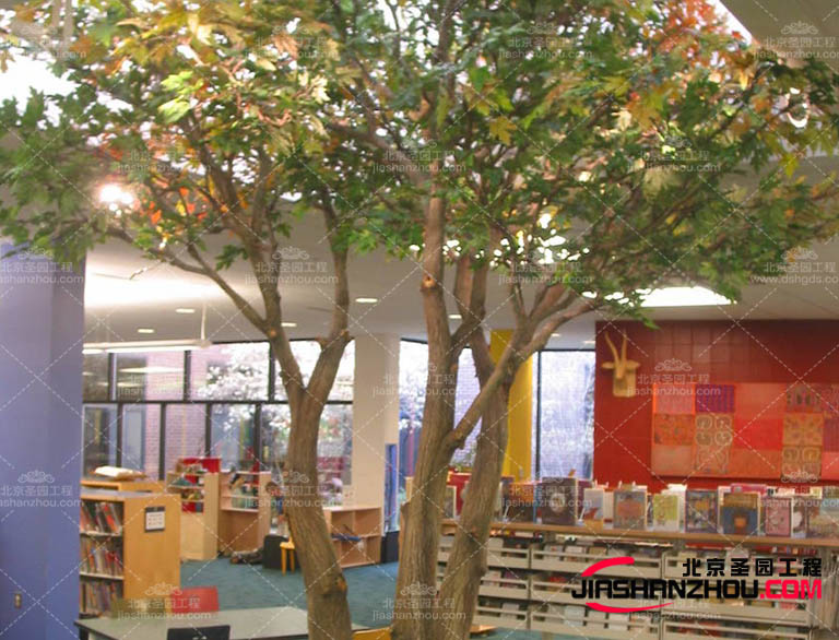 甘肅室內外仿真樹裝飾陳設后的日常保養和維護