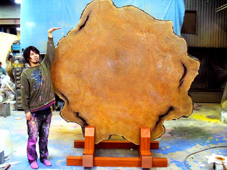 巨木年輪.jpg 仿真樹(shù)年輪