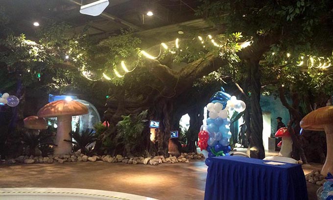 1494579694630774.jpg 仿真榕樹.jpg