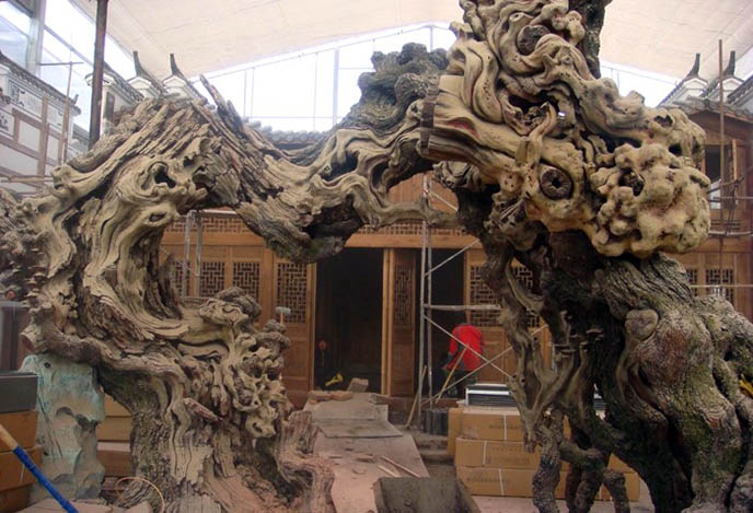 仿真樹.jpg 仿真樹