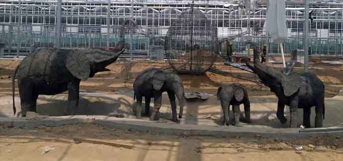 農(nóng)業(yè)嘉年華制作