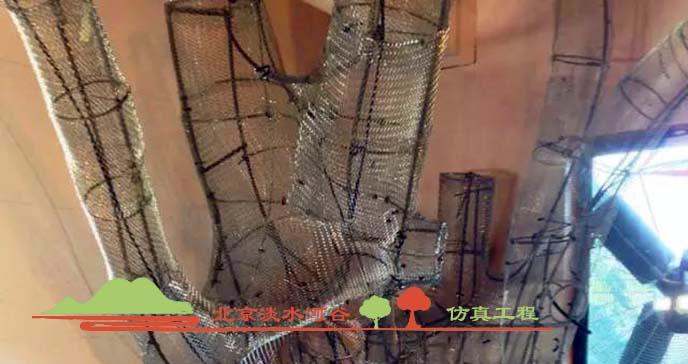 假樹(shù).jpg 假樹(shù)