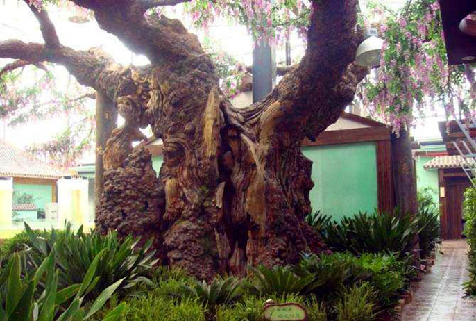 仿真樹.jpg 仿真樹