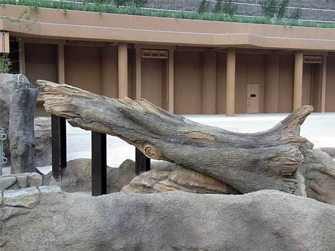 迪士尼仿木.jpg 迪士尼仿木