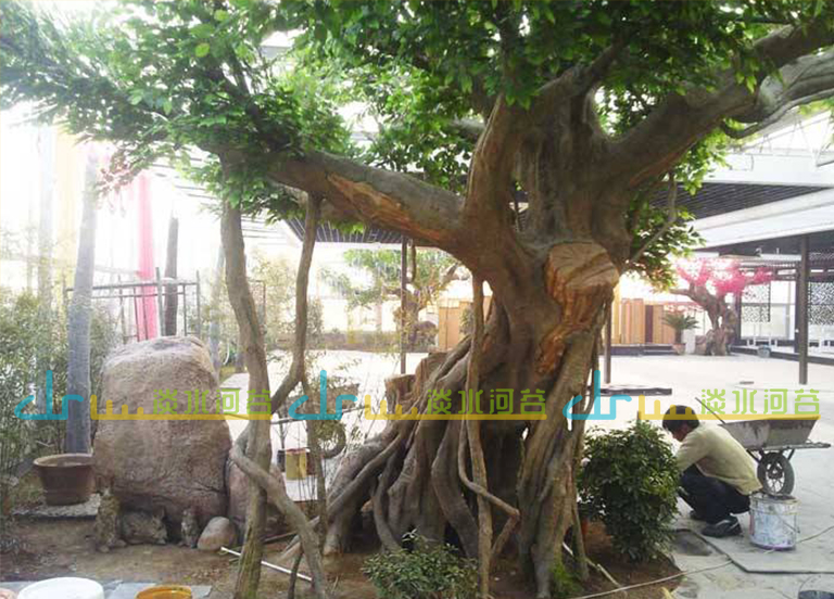 水泥仿真榕樹.jpg 水泥仿真榕樹