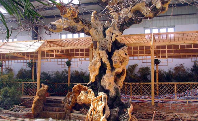 仿真樹工廠.jpg 仿真樹工廠