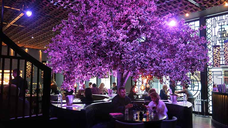 1583048751443439.jpg Tattu_interior_HtpXbcz.jpg